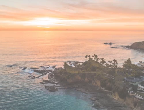 CBT Therapist Near Me